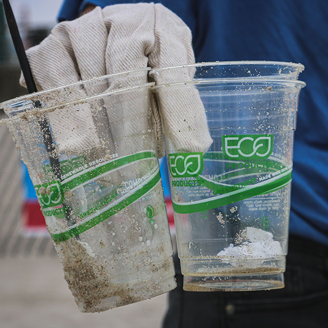 What is the Difference between Compostable and Biodegradable Products?